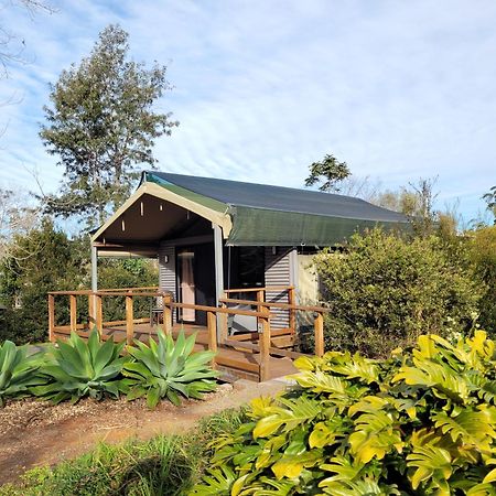 Southern Sky Glamping Hotel Tamborine Mountain Exterior photo